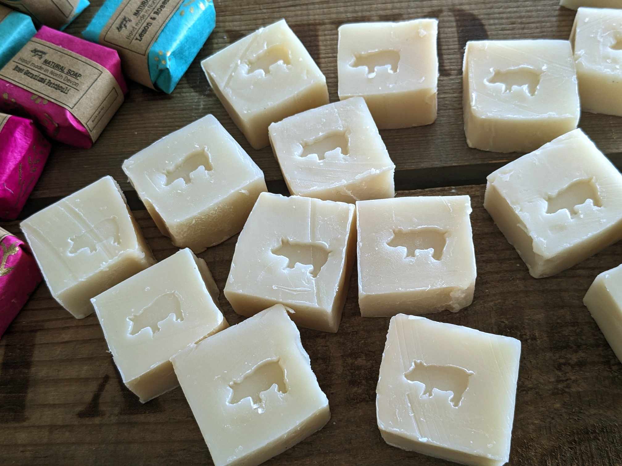 472996545_9290490887675799_284821036961628577_n (1)